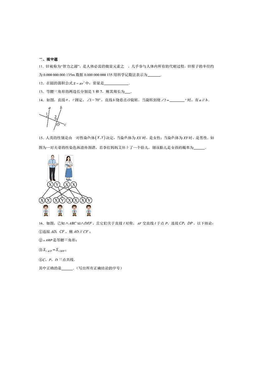 2024～2025学年山东省菏泽市牡丹区七年级下期末考试数学试卷(含答案)第3页