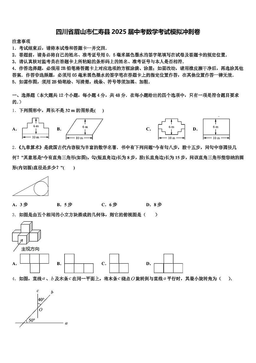 四川省眉山市仁寿县2025届中考数学考试模拟冲刺卷含解析第1页