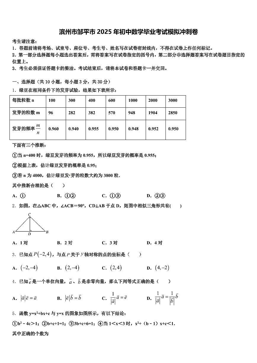 滨州市邹平市2025年初中数学毕业考试模拟冲刺卷含解析第1页
