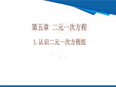 北師大版（2024）數(shù)學(xué)八年級上冊 5.1 認識二元一次方程組 課件