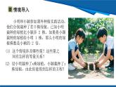 北師大版（2024）數(shù)學(xué)八年級上冊 5.1 認識二元一次方程組 課件