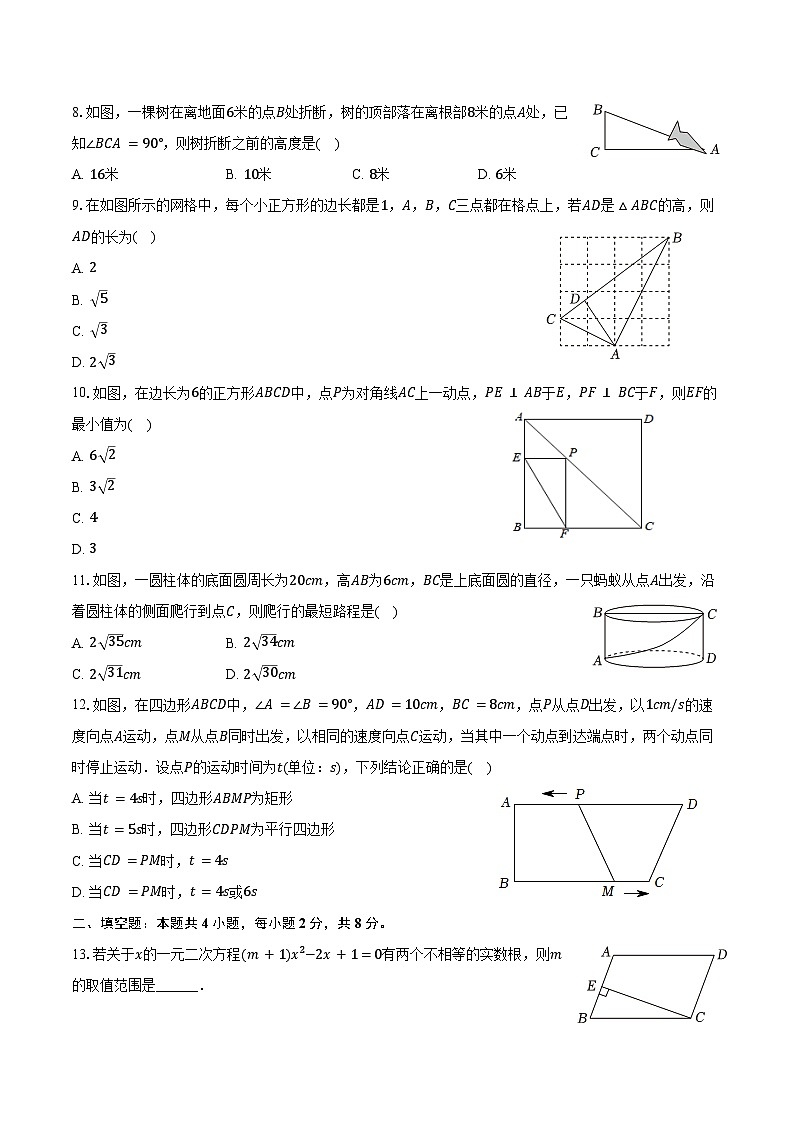2024-2025学年广西崇左市宁明县某校八年级（下）期末数学试卷（含答案）第2页