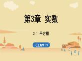 2024年浙教版七年级数学上册 3.1 平方根 (课件)