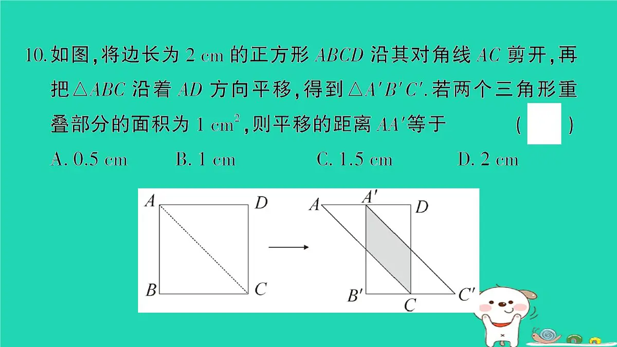 2025九年级数学上册第22章一元二次方程综合训练课件新版华东师大版第8页
