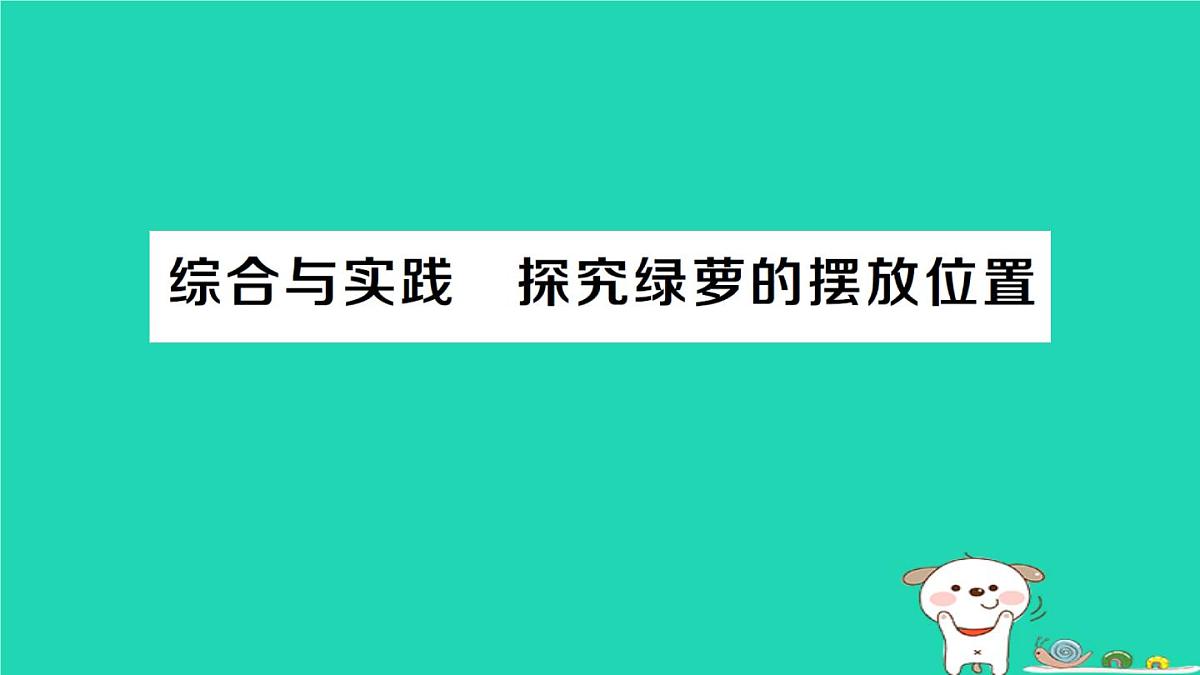 2025九年级数学上册第24章解直角三角形综合与实践探究绿萝的摆放位置作业课件新版华东师大版第1页