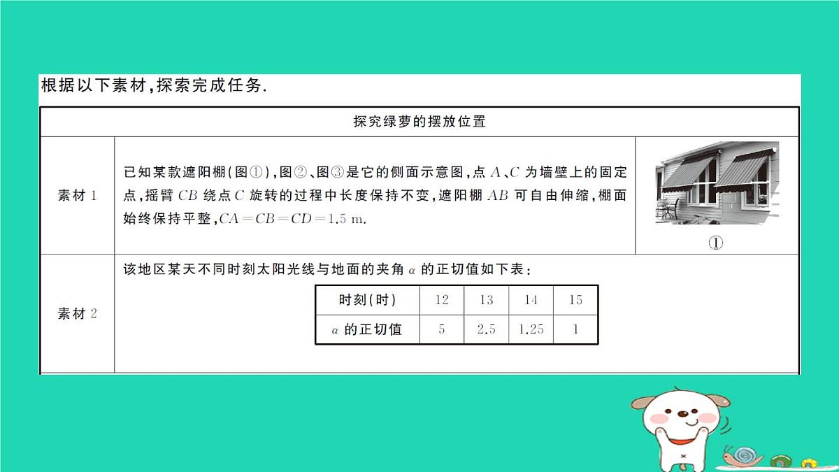 2025九年级数学上册第24章解直角三角形综合与实践探究绿萝的摆放位置作业课件新版华东师大版第2页