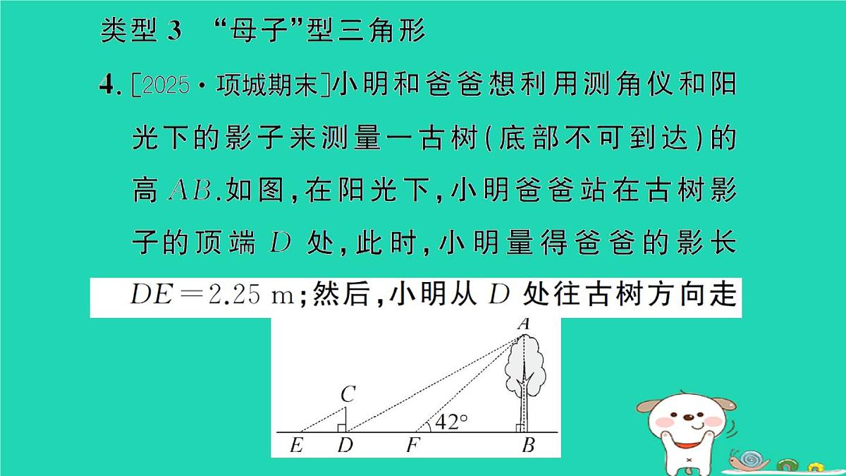 2025九年级数学上册第24章解直角三角形24.4解直角三角形专题15解直角三角形的应用题型强化专题作业课件新版华东师大版第8页