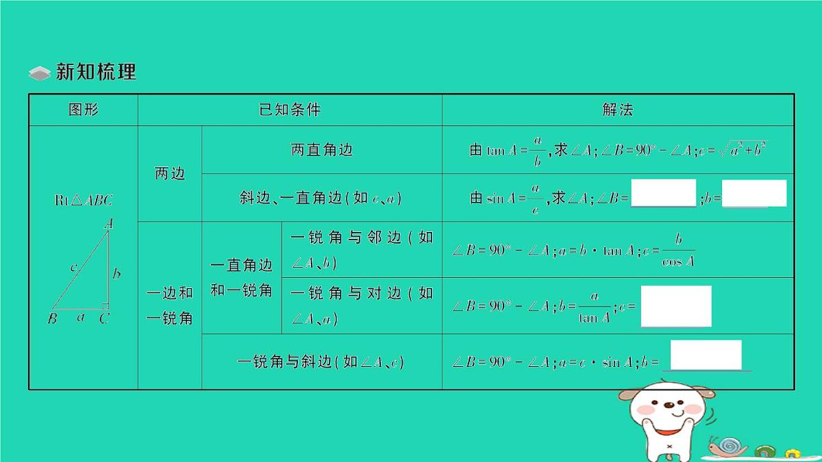 2025九年级数学上册第24章解直角三角形24.4解直角三角形第1课时解直角三角形及其简单应用作业课件新版华东师大版第2页