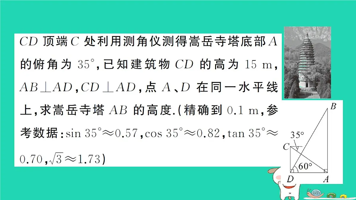 2025九年级数学上册第24章解直角三角形24.4解直角三角形第2课时解直角三角形的应用__仰角俯角问题作业课件新版华东师大版 (1)第8页