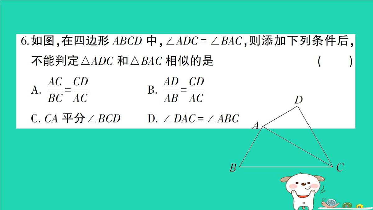 2025九年级数学上学期期中综合检测卷课件新版华东师大版第5页