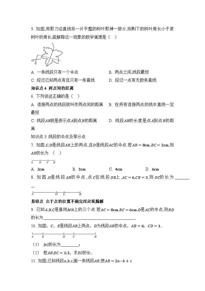 人教版（2024）数学7年级上册 6.2.2 线段的比较与运算 课时练（含答案）第2页