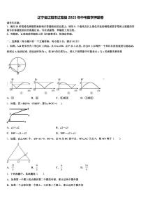 辽宁省辽阳市辽阳县2025年中考数学押题卷含解析