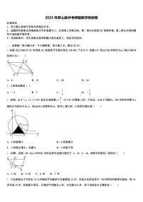 2025年罗山县中考押题数学预测卷含解析