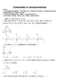 江苏省南京市栖霞区2025届中考适应性考试数学试题含解析