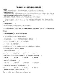 开阳县2025年中考数学最后冲刺模拟试卷含解析