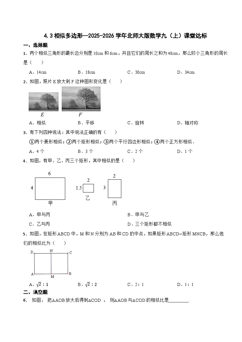 4.3相似多边形—2025-2026学年北师大版数学九（上）课堂达标训练第1页
