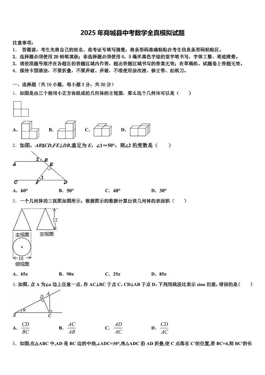 2025年商城县中考数学全真模拟试题含解析第1页