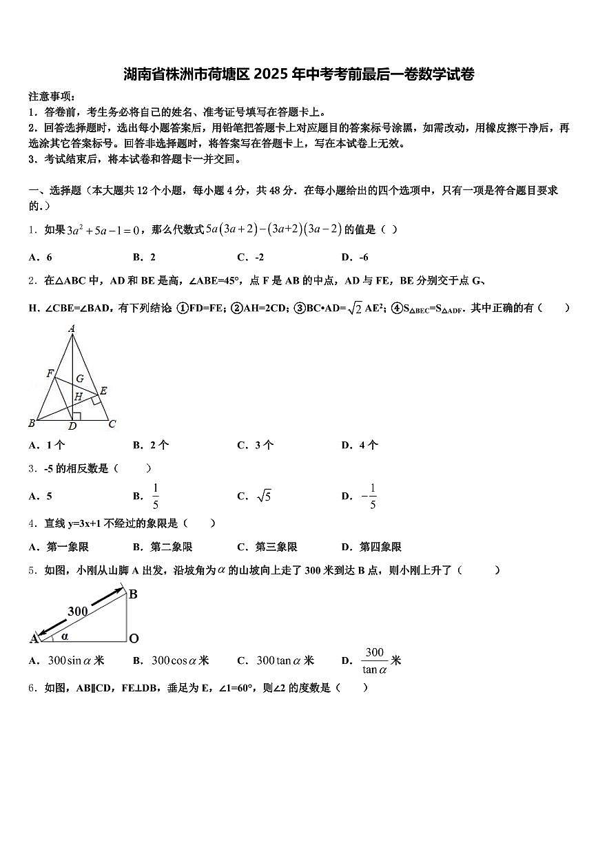 湖南省株洲市荷塘区2025年中考考前最后一卷数学试卷含解析第1页