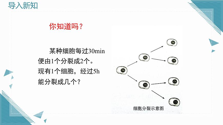 2025年鲁教版（五四制）教材初中数学六年级上册2.5有理数的乘方（第1课时）课件第2页