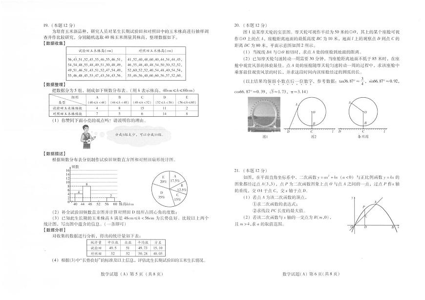 2025年山东省潍坊市中考真题数学试题（无答案）第3页