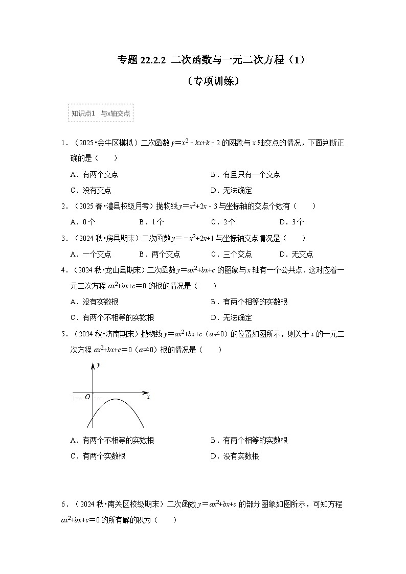 25-26学年人教九年级数学上册专项训练测试-专题22.2.1 二次函数与一元二次方程（1）（附名师详解）第1页