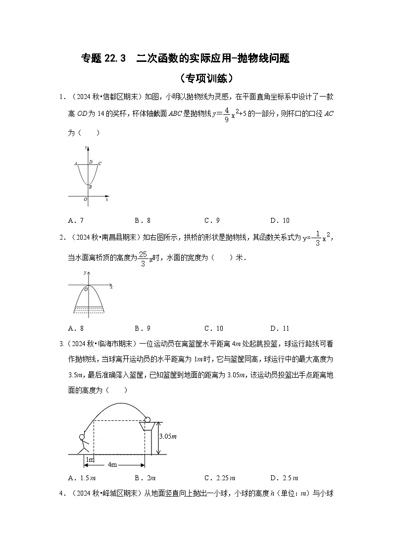 25-26学年人教九年级数学上册专项训练测试-专题22.3 二次函数的实际应用-抛物线问题（附名师详解）第1页