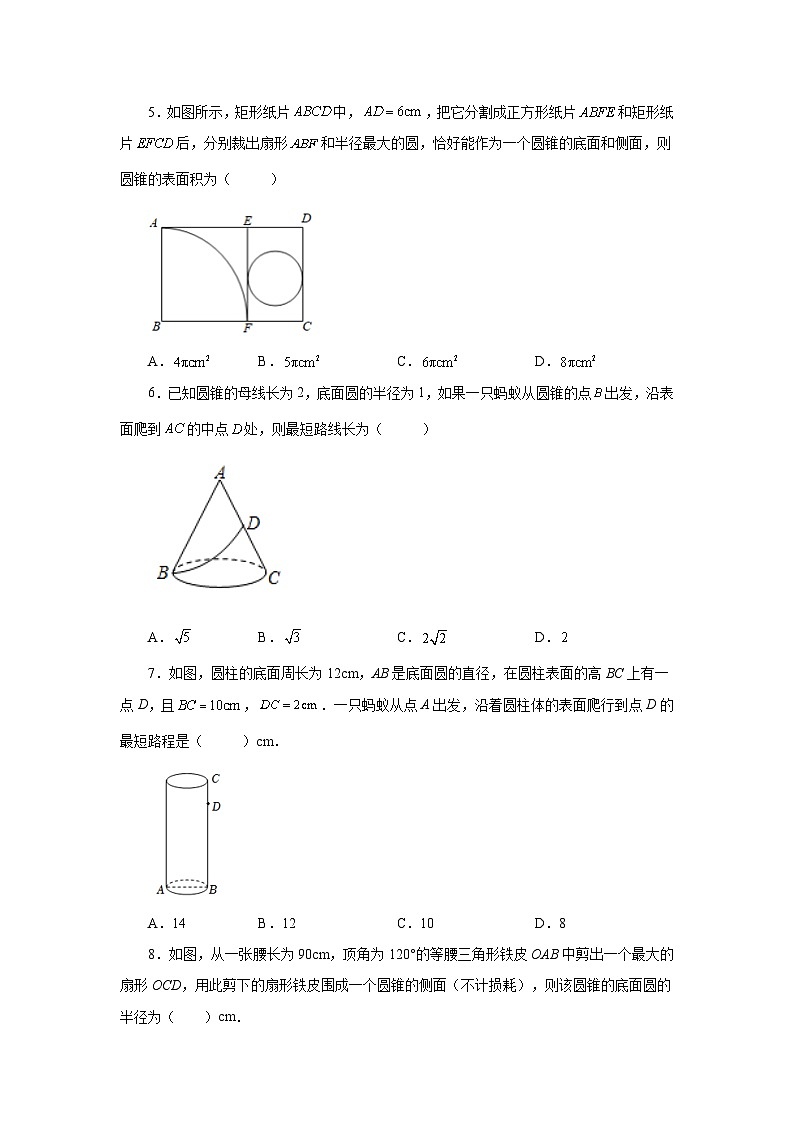 2026中考人教九年级数学上册基础讲练-专题24.36 圆锥的侧面积（巩固篇）（附名师详解）第2页