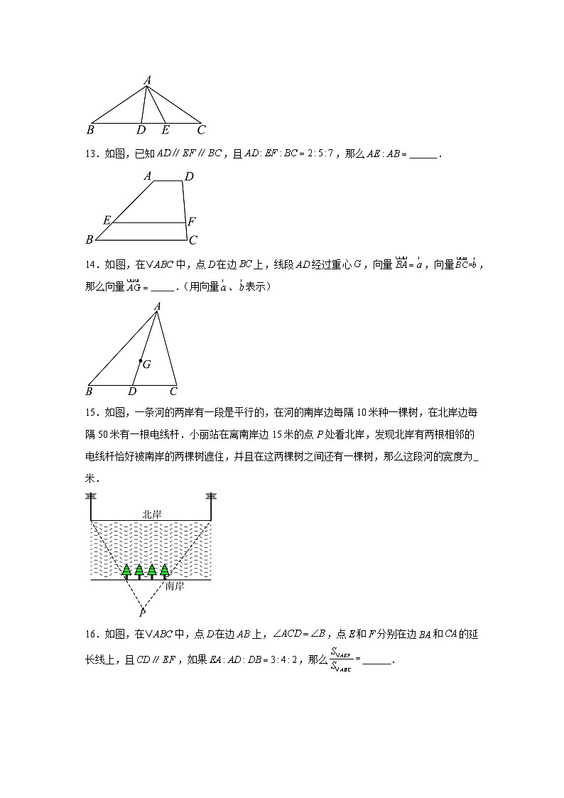 上海市普陀区2024-2025学年九年级上学期数学期中考试试卷第3页