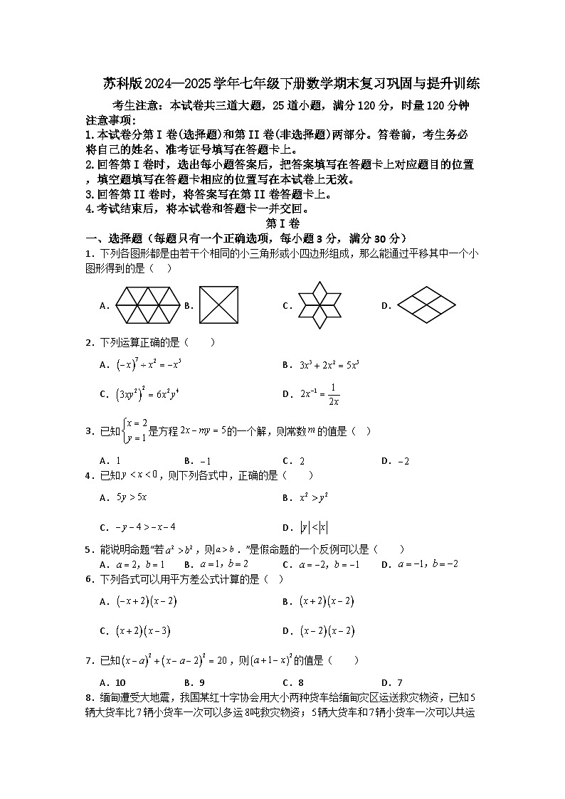 苏科版2024—2025学年七年级下册数学期末复习巩固与提升训练第1页