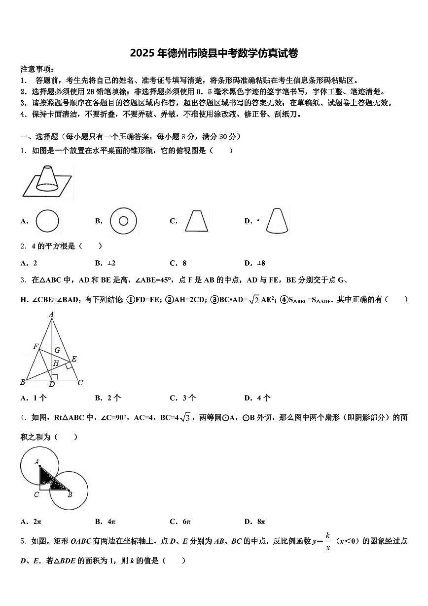 2025年德州市陵县中考数学仿真试卷含解析第1页