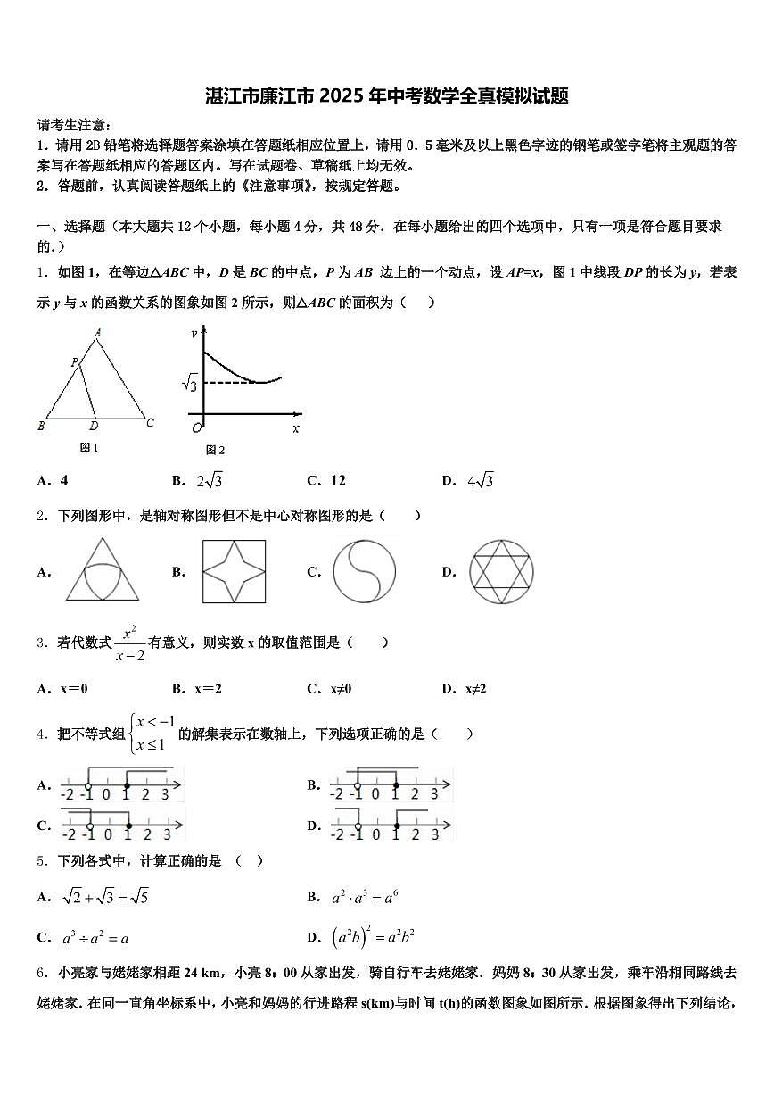 湛江市廉江市2025年中考数学全真模拟试题含解析第1页