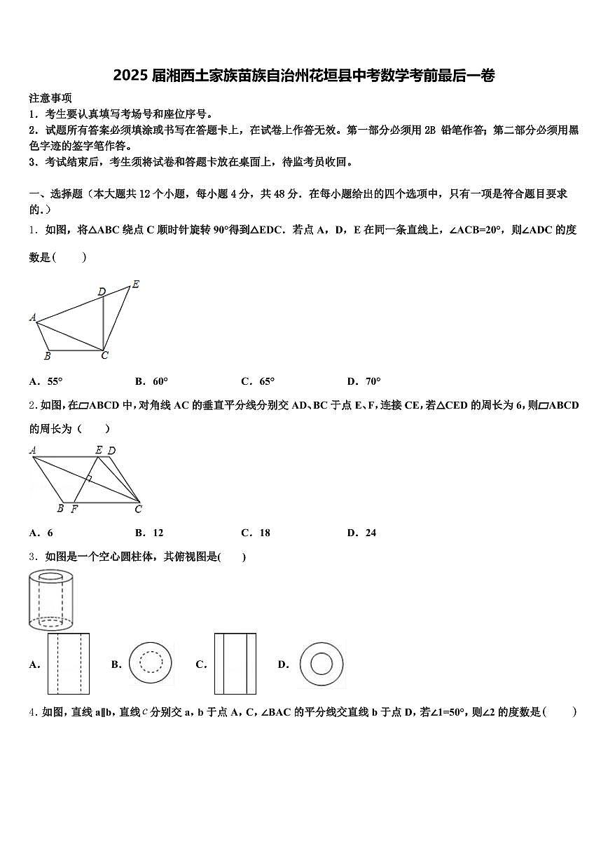 2025届湘西土家族苗族自治州花垣县中考数学考前最后一卷含解析第1页