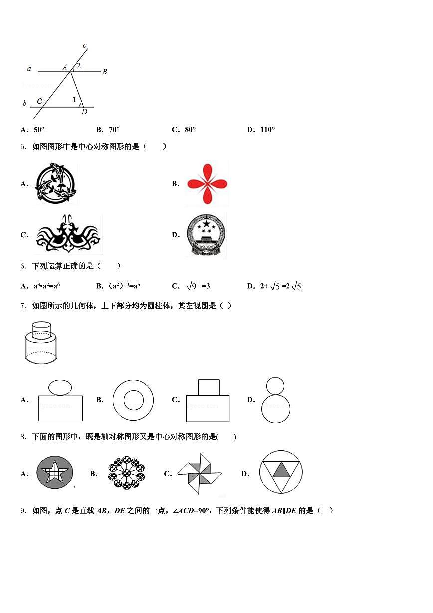 2025届湘西土家族苗族自治州花垣县中考数学考前最后一卷含解析第2页