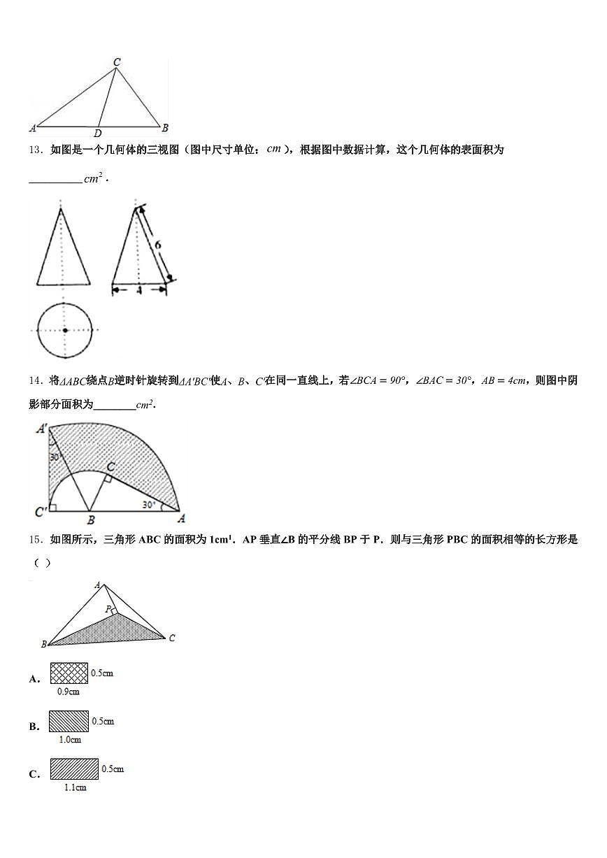 拉萨市达孜县2025届中考数学考前最后一卷含解析第3页