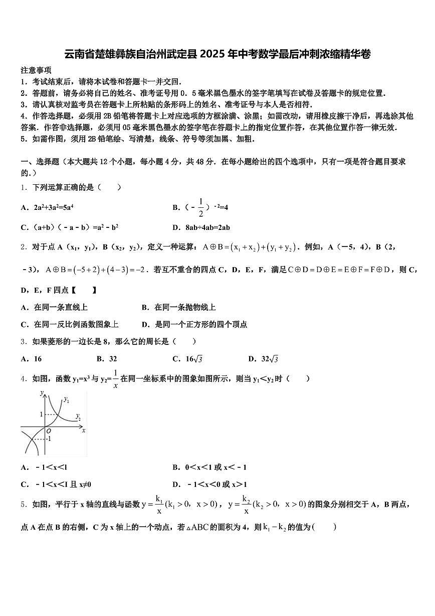 云南省楚雄彝族自治州武定县2025年中考数学最后冲刺浓缩精华卷含解析第1页