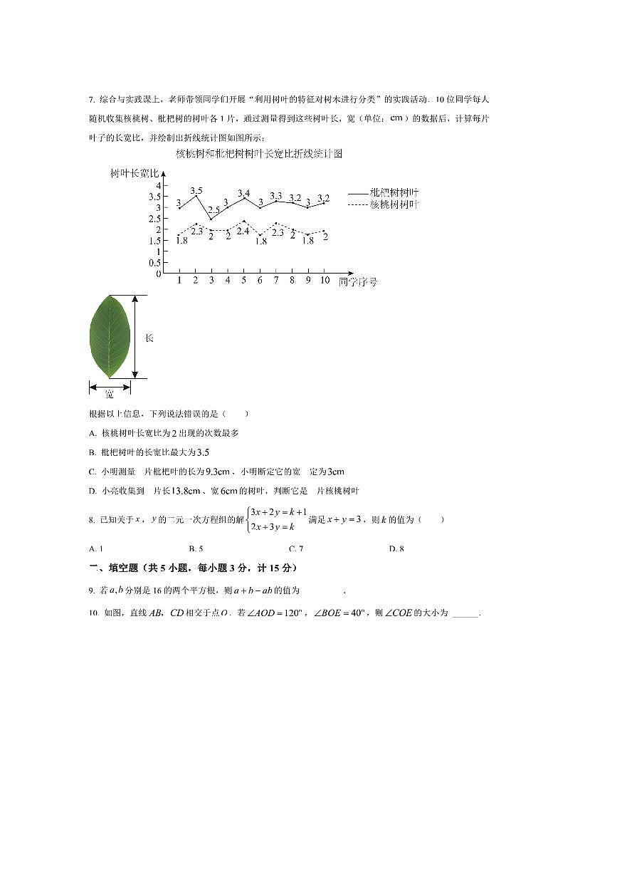 2024～2025学年陕西省安康市紫阳县毛坝中学七年级下期末数学试卷(含答案)第2页