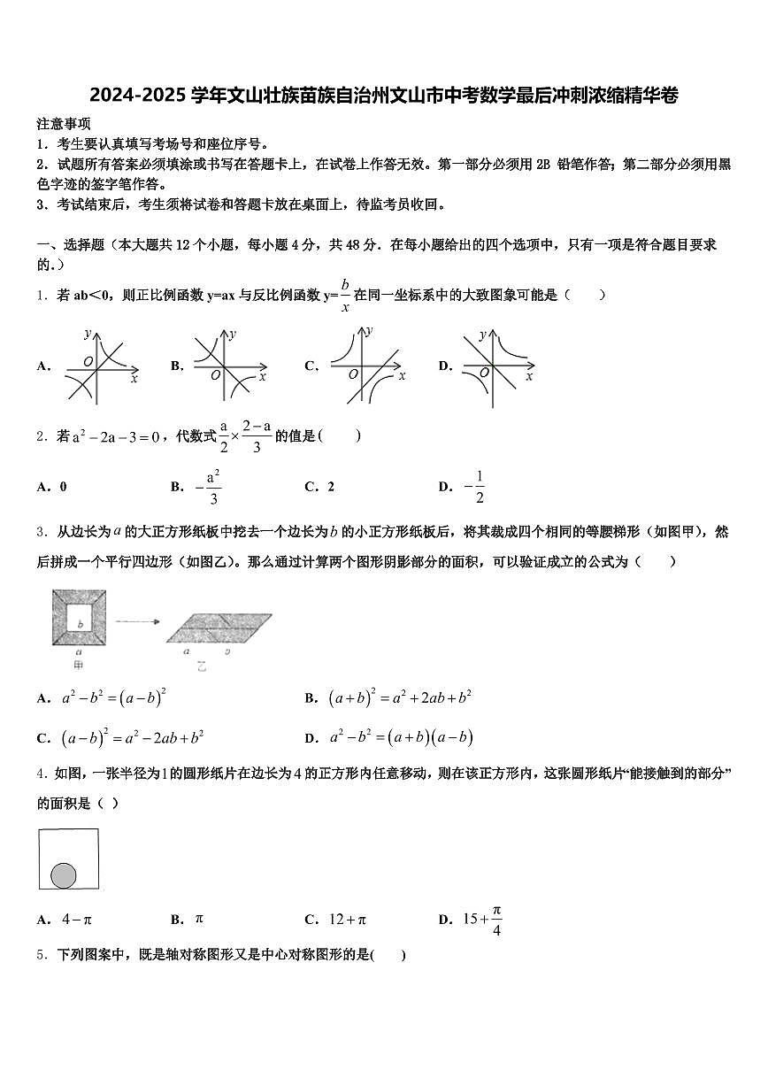 2024-2025学年文山壮族苗族自治州文山市中考数学最后冲刺浓缩精华卷含解析第1页