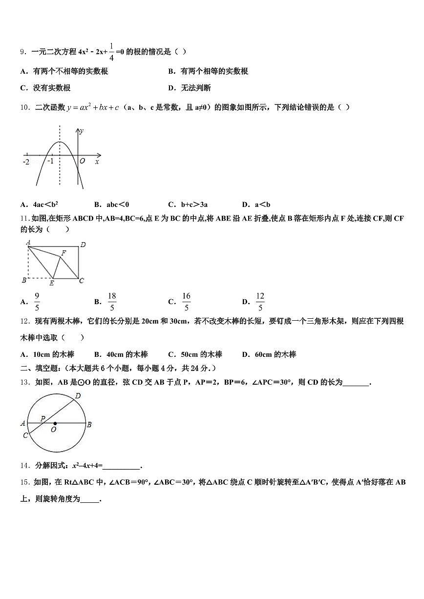 广西壮族自治区百色市隆林各族自治县2025年中考二模数学试题含解析第3页