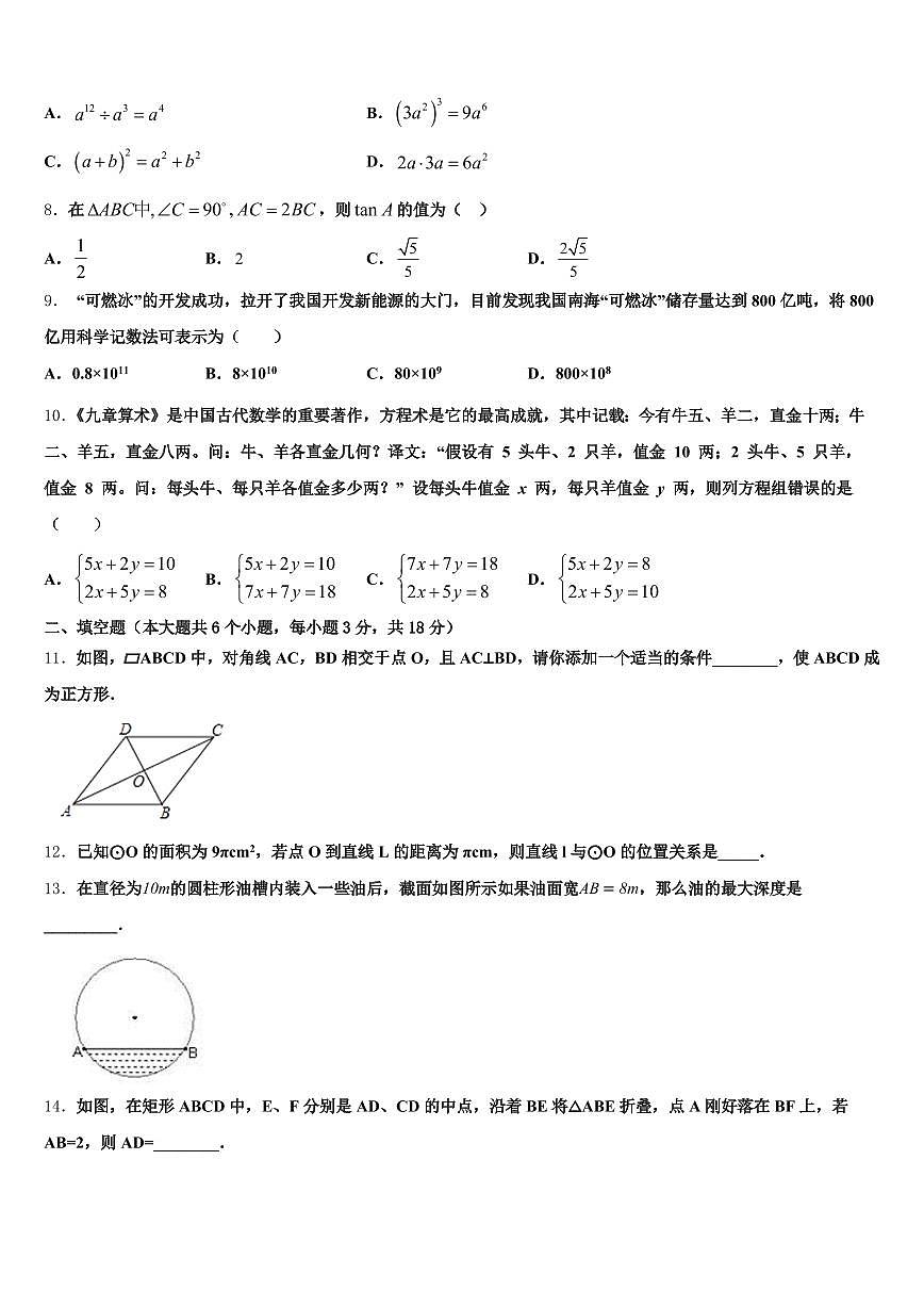 2025届梅州市平远县初中数学毕业考试模拟冲刺卷含解析第2页