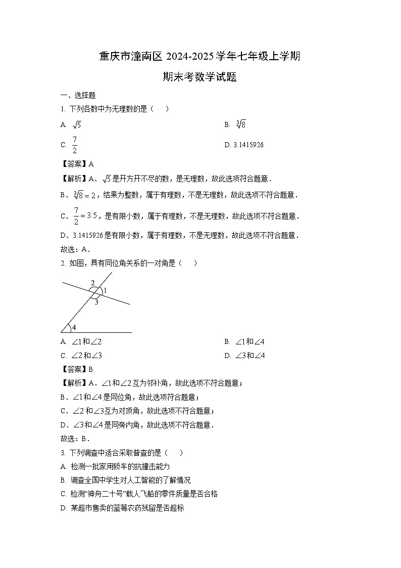 重庆市潼南区2024-2025学年七年级上学期期末考数学试题（解析版）第1页