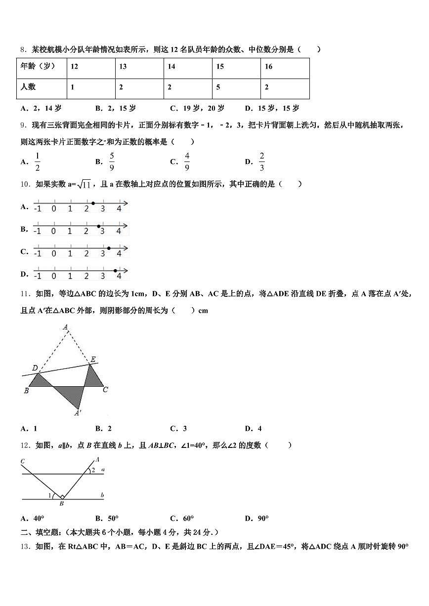 2024-2025学年云南省迪庆藏族自治州德钦县中考数学最后冲刺浓缩精华卷含解析第2页