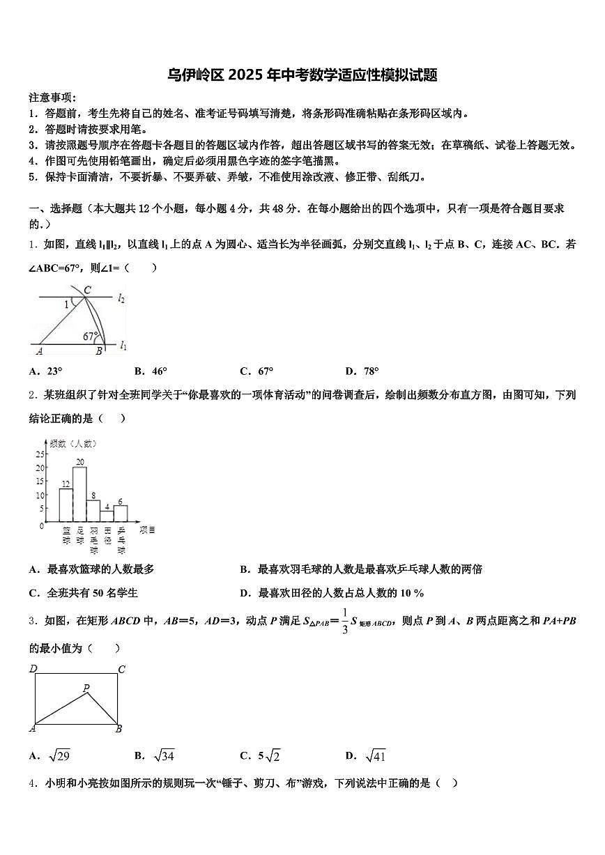 乌伊岭区2025年中考数学适应性模拟试题含解析第1页