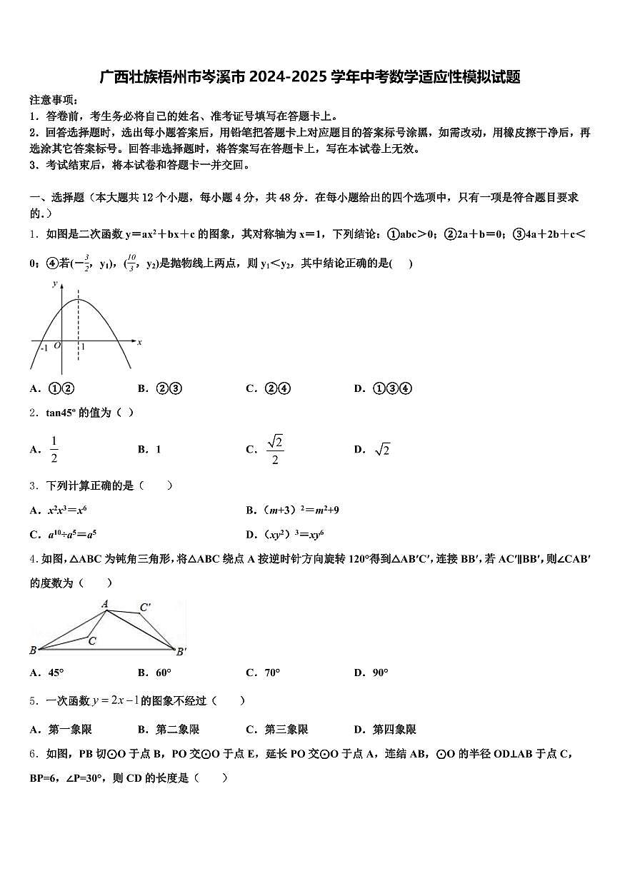 广西壮族梧州市岑溪市2024-2025学年中考数学适应性模拟试题含解析第1页
