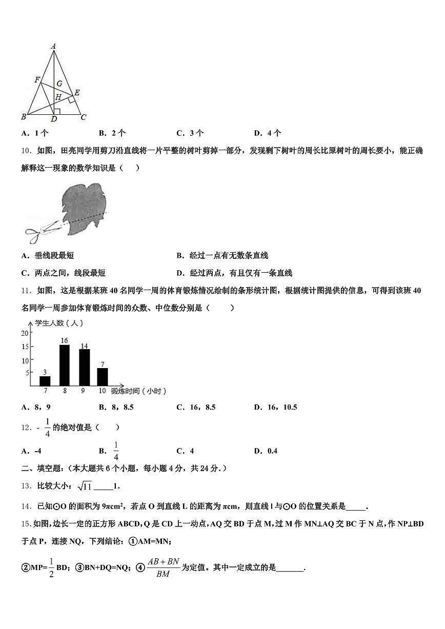 迪庆藏族自治州香格里拉县2025年中考数学模拟精编试卷含解析第3页