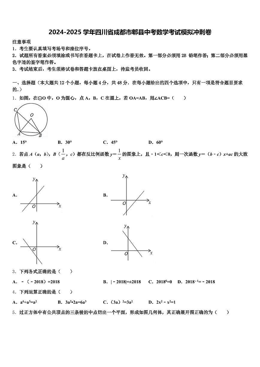 2024-2025学年四川省成都市郫县中考数学考试模拟冲刺卷含解析第1页