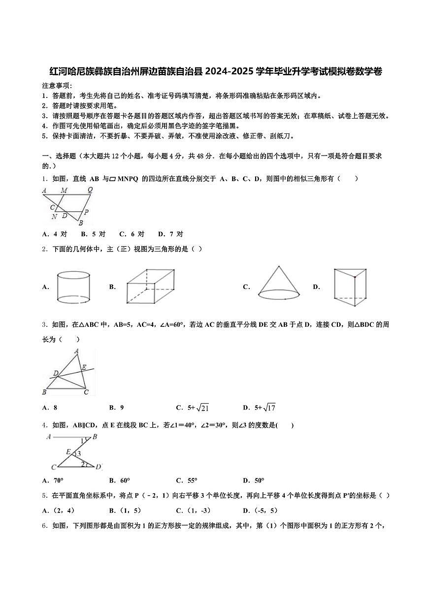 红河哈尼族彝族自治州屏边苗族自治县2024-2025学年中考模拟卷数学卷含解析第1页