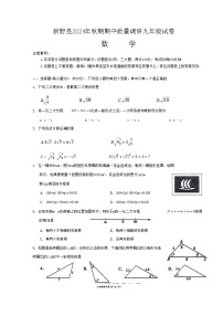 河南省南阳市新野县2024-2025学年九年级上学期11月期中考试数学试题+