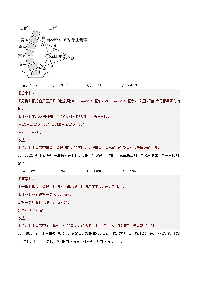 专题06图形的性质（浙江专用）（解析版）第3页
