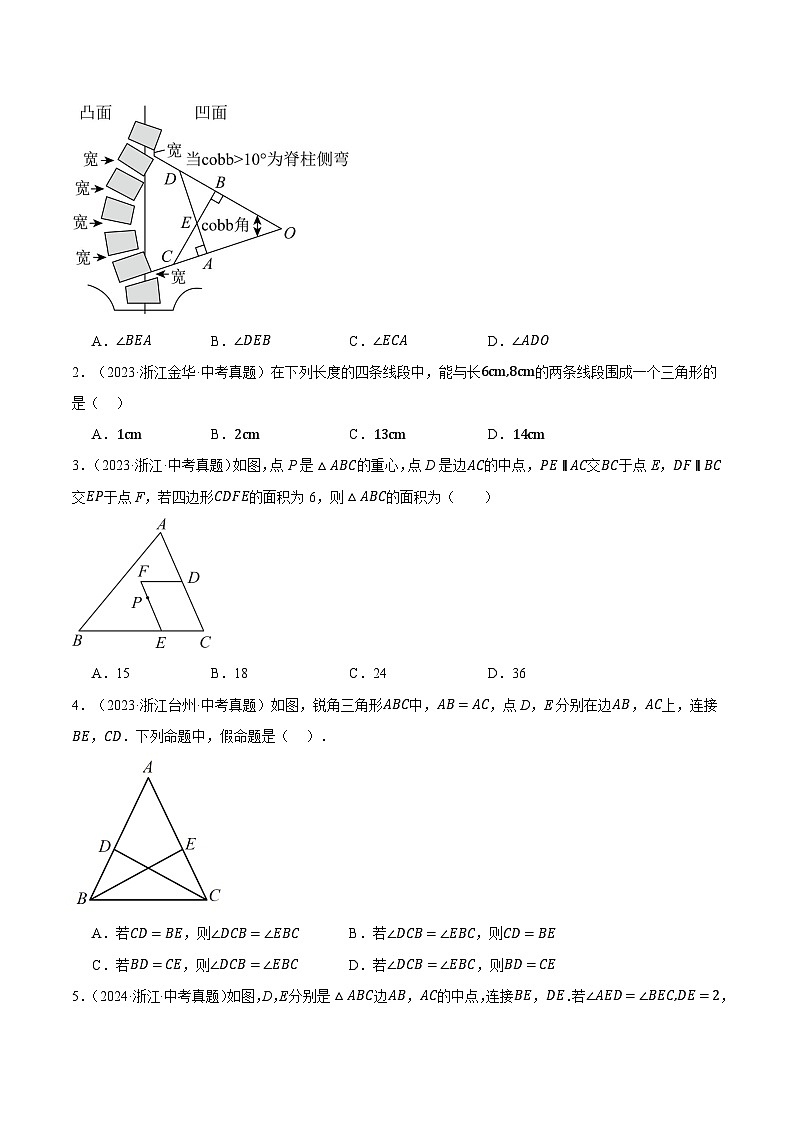 专题06图形的性质（浙江专用）（原卷版）第2页