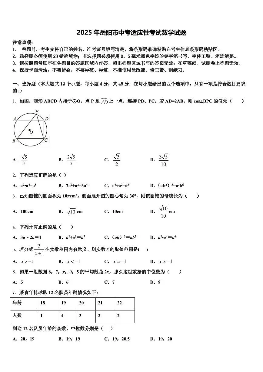 2025年岳阳市中考适应性考试数学试题含解析第1页